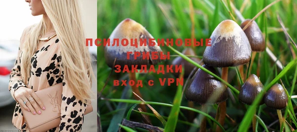 стафф Абаза