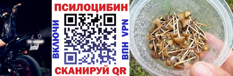 Псилоцибиновые грибы Psilocybine cubensis  Железногорск-Илимский 